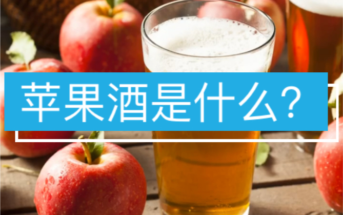 苹果九怎么调成中文版appstore设置成中文-第1张图片-太平洋在线下载